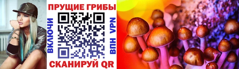 Галлюциногенные грибы GOLDEN TEACHER  купить наркоту  Лабытнанги 
